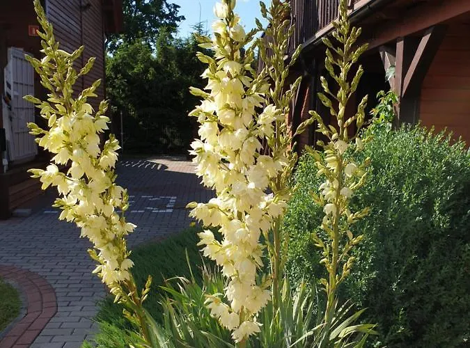 Деревянный коттедж Na Zaciszu *